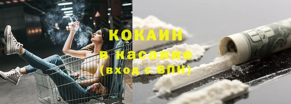 МДПВ Богородск