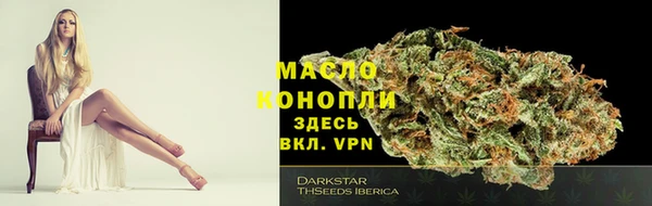 МДПВ Богородск
