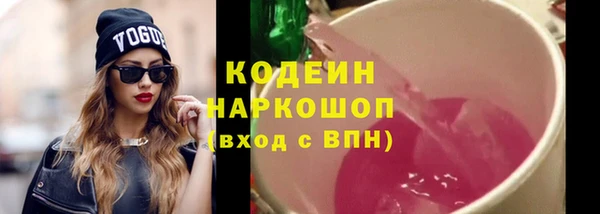 дживик Бородино