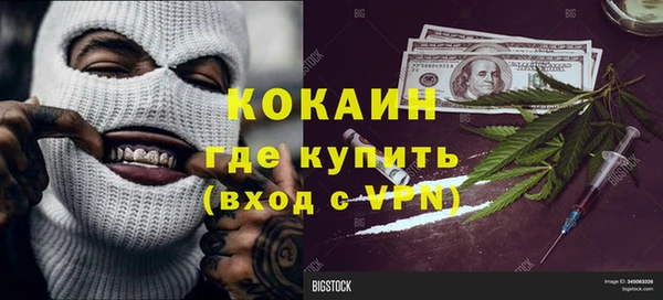 дживик Бородино