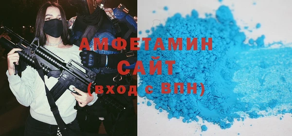 ГАЛЛЮЦИНОГЕННЫЕ ГРИБЫ Дубовка