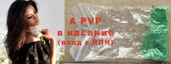 дживик Бородино