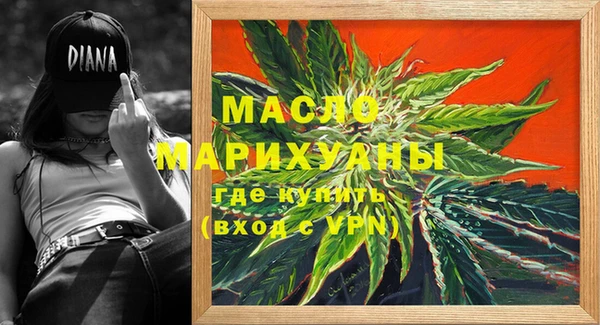 МДПВ Богородск