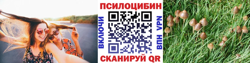 Галлюциногенные грибы GOLDEN TEACHER  где купить наркоту  Кстово 