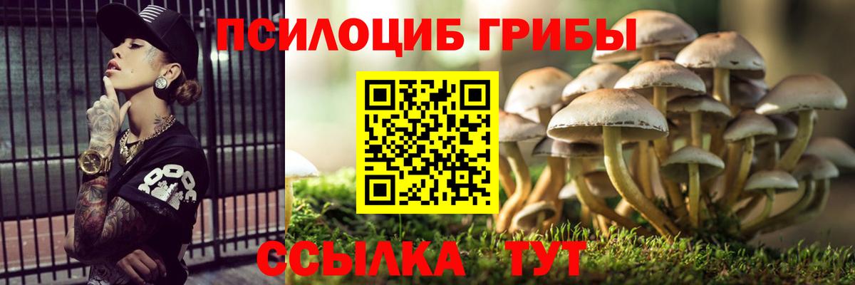 Псилоцибиновые грибы GOLDEN TEACHER Кстово